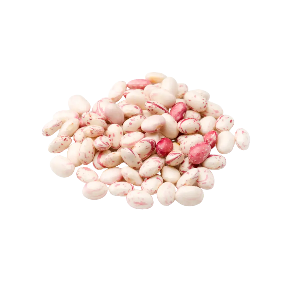 [1060701] FAGIOLI BORLOTTI SECCHI 500GR