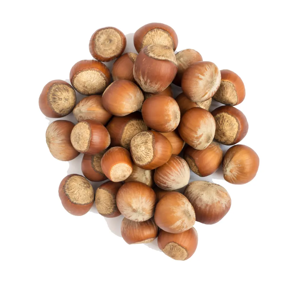 NOCCIOLE CON GUSCIO TOSTATE 150GR