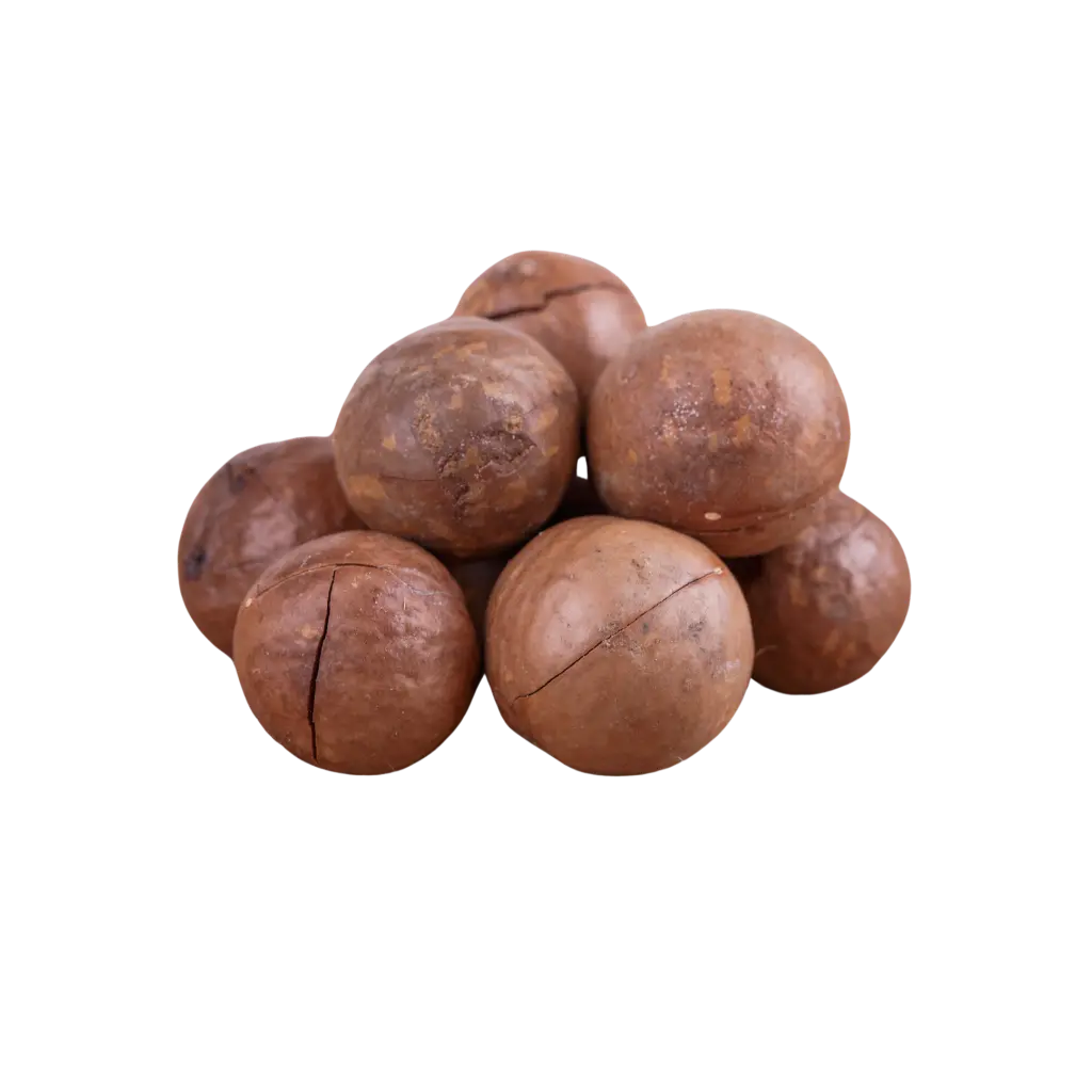 NOCI MACADAMIA CON GUSCIO 150GR