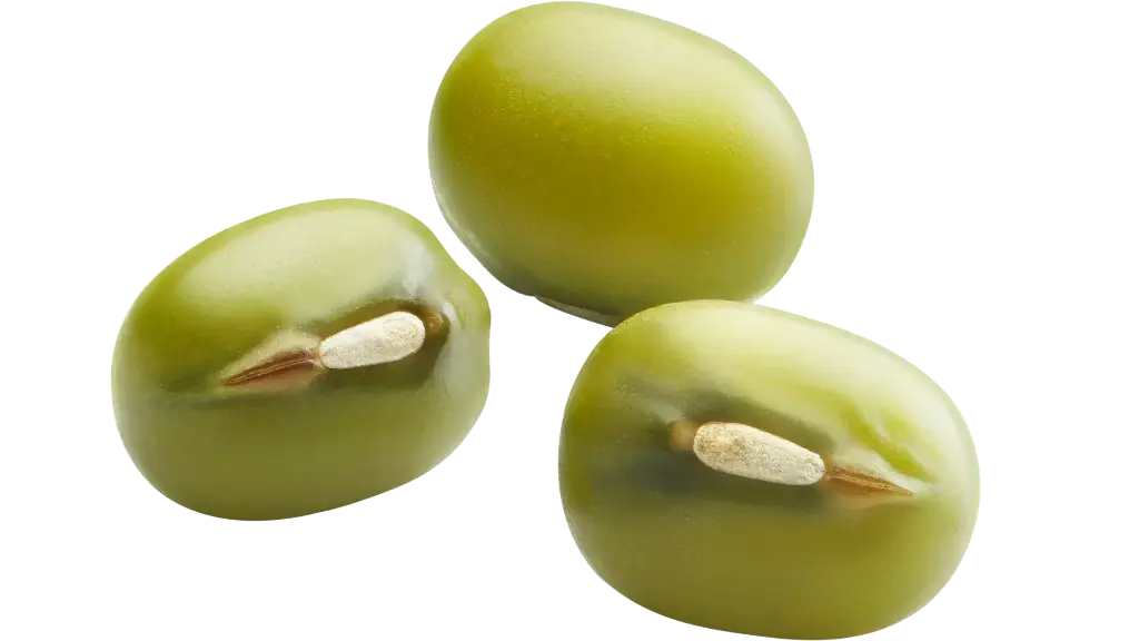 FAGIOLI MUNG VERDI - VIGNA RADIATA 1KG