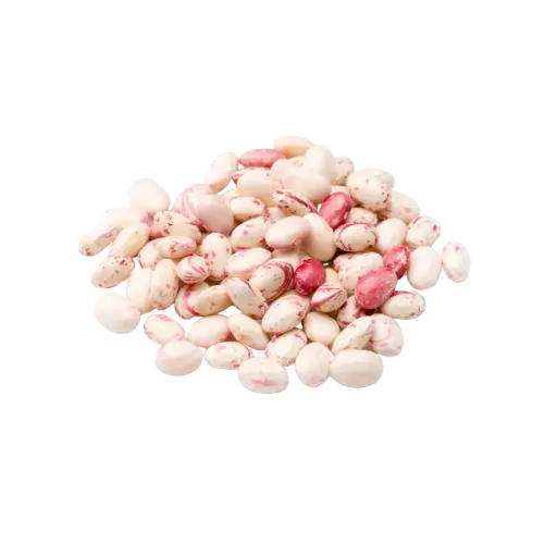 [1060701] FAGIOLI BORLOTTI SECCHI 500GR