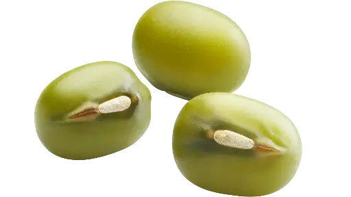 FAGIOLI MUNG VERDI - VIGNA RADIATA 1KG